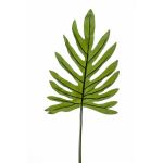 Decorative Philodendron Selloum leaf GINO, 3ft/100cm