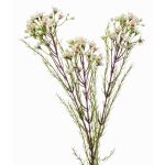 Artificial hoya flower MEDEA, cream, 31"/80cm