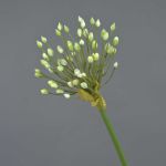 Artificial ornamental allium KATYNA, cream, 28"/70cm