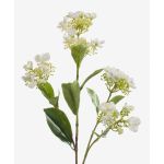 Fake hydrangea ALAZNE, cream, 30"/75cm