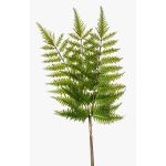 Artificial sword fern branch HALIMA, green, 24"/60cm