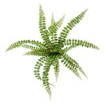 Artificial button fern BELONA, green, 20"/50cm