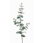 Plastic eucalyptus branch CALLIOPE, green-grey, 28"/70cm