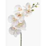 Decorative Phalaenopsis orchid branch NEITH, white, 30"/75cm, Ø2.8"-4.1"/7-10.5cm