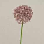 Artificial Allium flower ARNAU, light pink, 24"/60cm