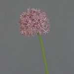 Artificial Allium flower ARNAU, violet, 24"/60cm