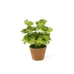 Artificial clover NICCOLO in decorative pot, green, 25cm