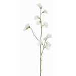 Decorative flower Lathyrus ASFALOTH, white, 65 cm, Ø 3–5 cm
