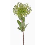 Artificial protea pin cushion BAILY, green, 55cm, Ø10cm
