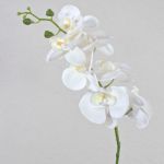 Decorative Phalaenopsis Orchid Branch OPHELIA, white, 80cm, Ø8–9cm