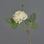 Decorative flower Cabbage rose VOMTE, dry look, beige, 18"/45cm