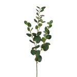 Artificial eucalyptus branch JINVAL, green, 31"/80cm
