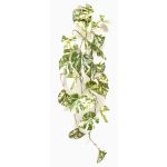 Artificial hanging plant, Scindapsus NAVIRT on a stem, green-white, 35"/90cm