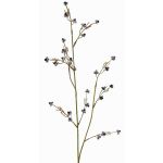 Decorative Stirlingia latifolia branch COLLAN, black and white, 75cm, Ø1cm
