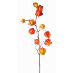 Decorative physalis branch PERSEI with berries, orange, 31"/80cm