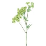 Artificial sprig of wild carrot FLAWA, light green, 26"/65cm