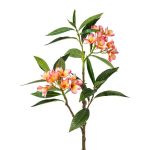 Artificial frangipani branch DRIFEN, yellow-pink, 4ft/110cm