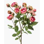 Artificial flower rose branch TOSSA, pink-green, 60 cm, Ø 1–4 cm