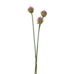Kunstblumen Allium Blüten Bund LAMDA, violett-grün, 65cm, Ø4cm
