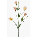 Artificial lisianthus branch PAZAN, pink-cream, 70 cm, Ø 3–5 cm