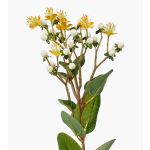 Deko Zweig Johanniskraut CANNO mit Blüten, Früchte, gelb-weiß, 65cm, Ø3cm