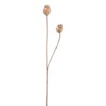 Artificial branch poppy capsules ORIONLA, light brown, 26"/65cm, Ø1.4"-1.6"/3.5-4cm
