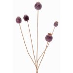 Faux poppy capsule FILOMELA, dark brown, 30"/75cm, Ø0.8"-1.4"/2-3.5cm