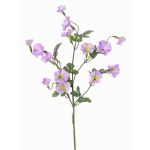 Plastic morning glory 'IORDANIS', purple-green, 31"/80cm, Ø1.2"-2.2"/3-5.5cm