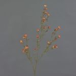 Faux wax flower NIANG, orange-red, 31"/80cm, Ø0.6"-1"/1.5-2.5cm