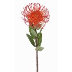 Artificial pincushion Protea BAILY, orange, 55cm, Ø10cm