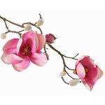 KOSTAS decorative magnolia branch, pink, 55 cm, Ø 6–8 cm