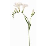 Decorative freesia MARUSHA, white, 70 cm, Ø 6 cm