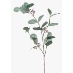 Kunstzweig Eukalyptus MAXEN mit Früchten, grün-grau, 75cm