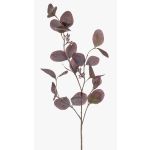 Kunstzweig Eukalyptus MAXEN mit Früchten, violett-grau, 75cm