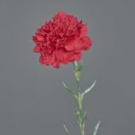 Artificial carnation NIRUSHA, red, 65 cm, Ø 9 cm