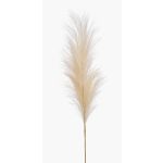 Künstliche Pampasgras Rispe AMATSIA, creme, 115cm