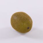 Plastik Kiwi SURATA, braun, 6cm, Ø4,5cm