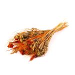 Dried bunch of ears COVENTINA, orange-natural, 26"/65cm, Ø9"/23cm