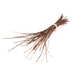 Cork branches KAUKO in a bunch, natural, 16"-28"/40-70cm