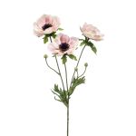 Künstliche Anemone SUGOL, rosa-creme, 75cm