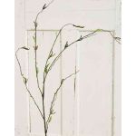 Kunst Birkenzweig AZIR mit Blüten, braun-grün, 125cm