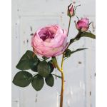 Kohl-Rose künstlich MIRETTA, rosa, 60cm, Ø3-9cm