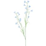 False bellflower SANDERINA, light blue, 3ft/105cm