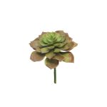 Kunst Echeveria morani XINYA auf Steckstab, rot-grün, 17cm