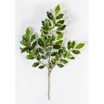 Artificial Ficus Benjamini branch AJITH, green-white, 18"/45cm