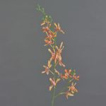 Artificial flower branch Cattleya orchid TRASSA, orange-yellow, 31"/80cm