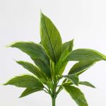 Artificial Cordyline VALDA on spike, green-white, 12"/30cm