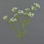 Artificial dill branch WINCENT with flowers, white-green, 31"/80cm