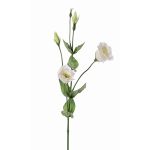 Artificial Lisianthus flower JUDIKA, white-green, 28"/70cm, Ø 2"/5cm