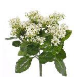 Artificial Kalanchoe LORRE on spike, crossdoor, white, 14"/35cm, Ø 12"/30cm